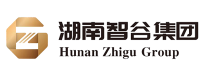 智谷投资发展集团