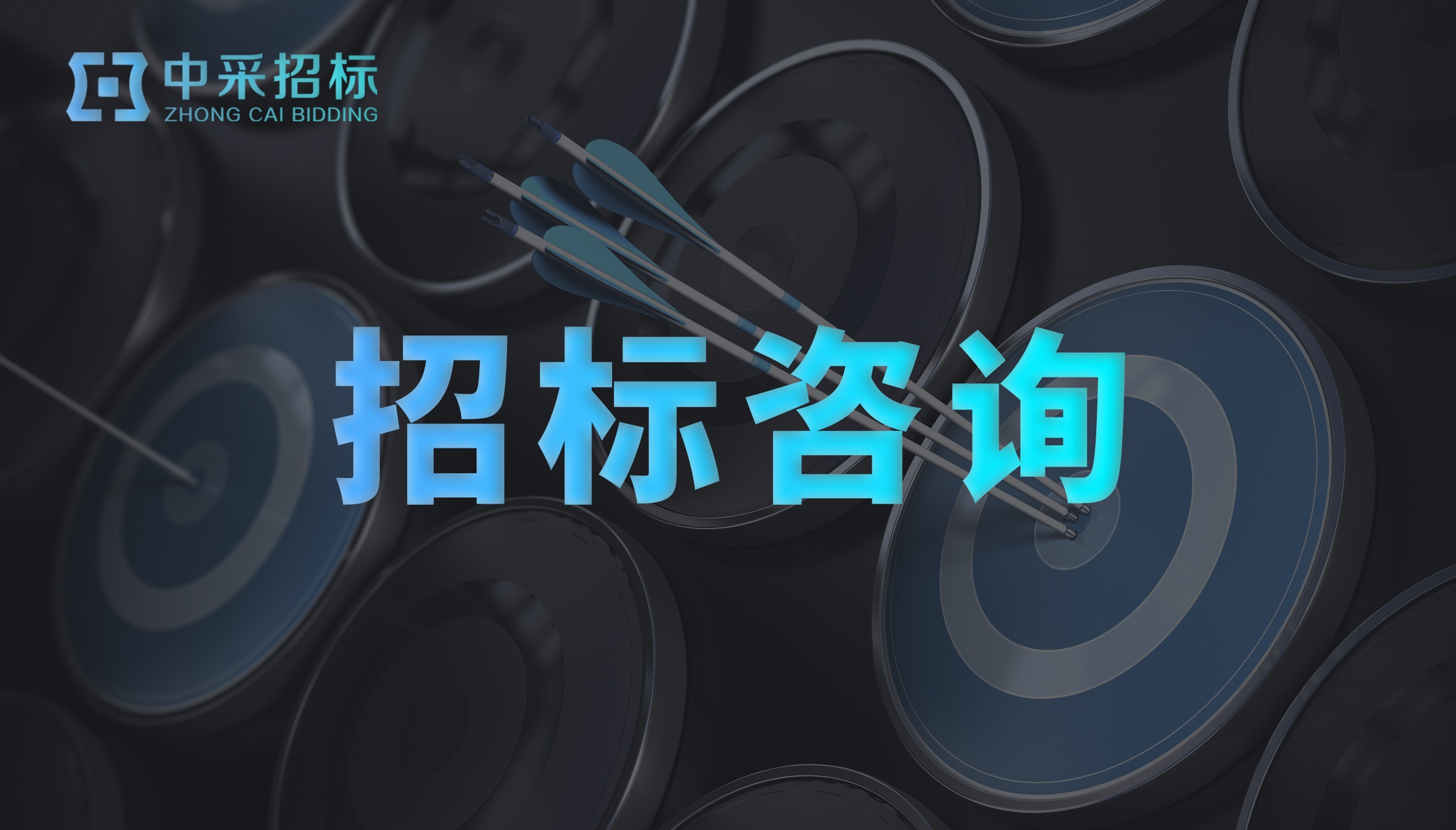 招标咨询