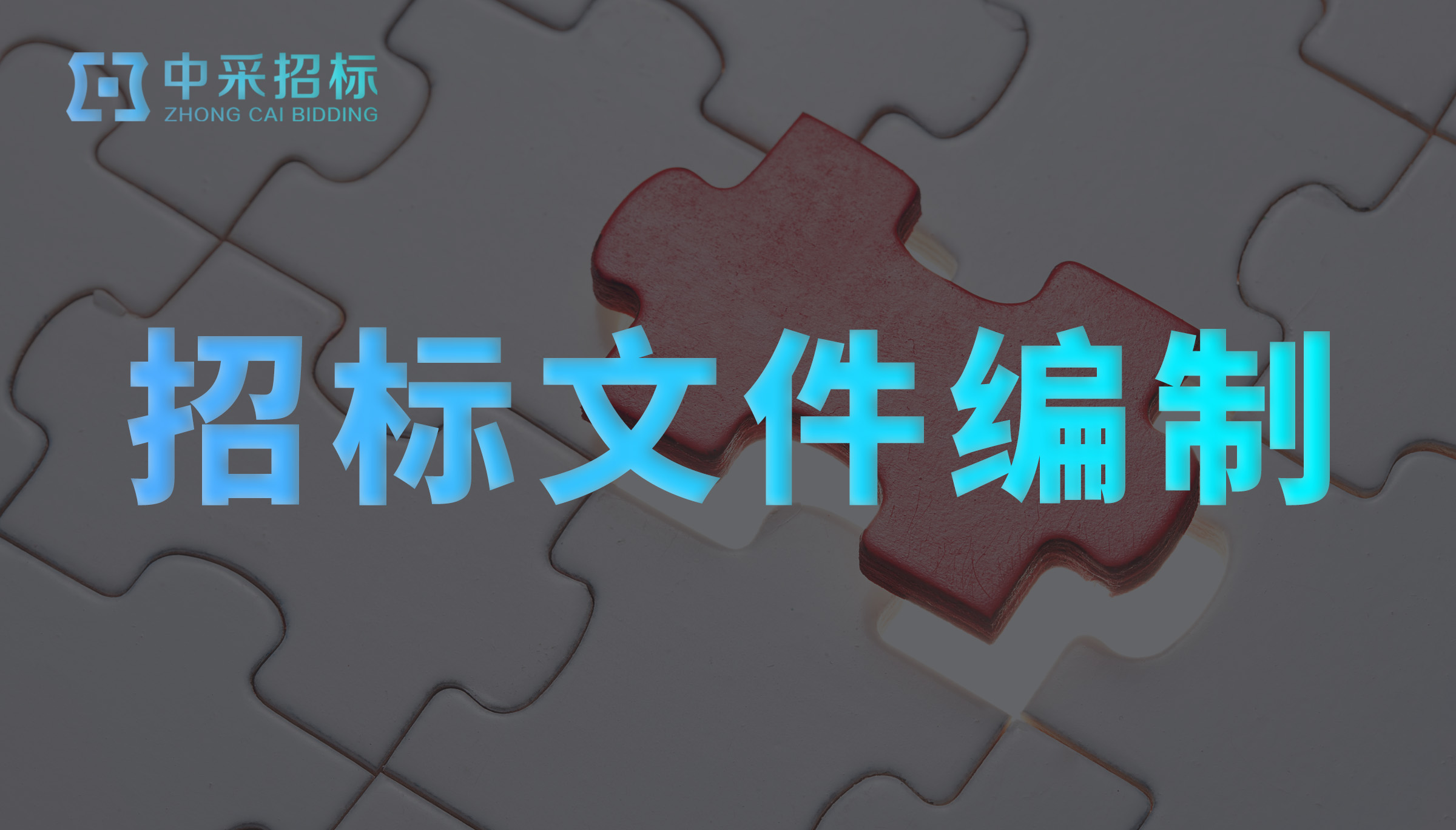 招标文件编制