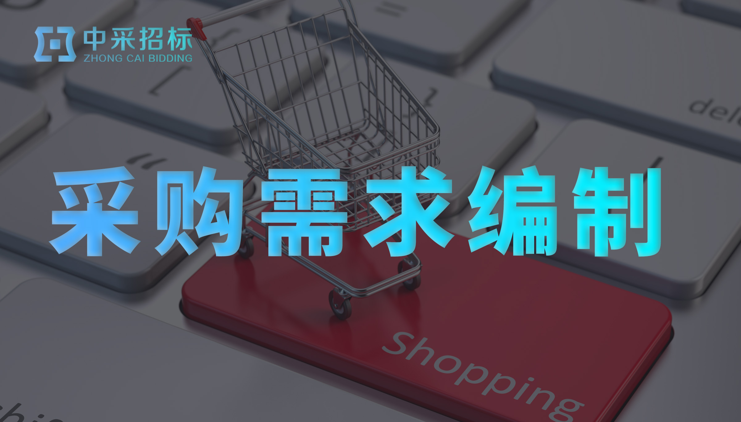 采购需求编制