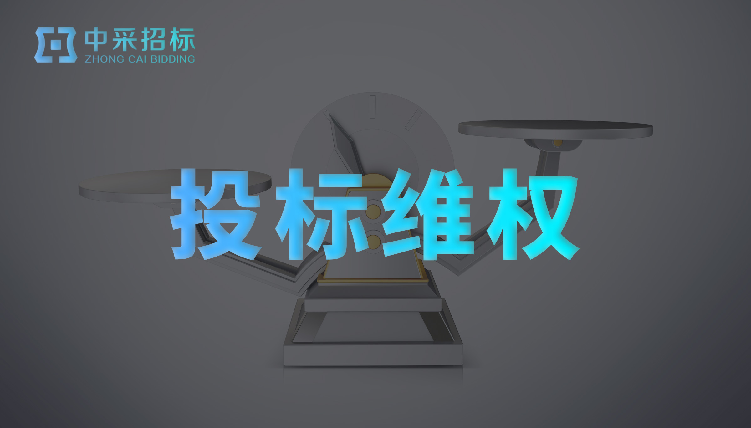 投标维权