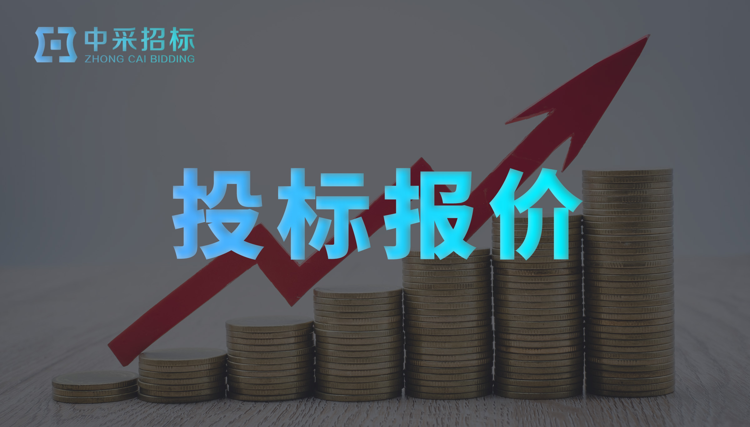 投标报价