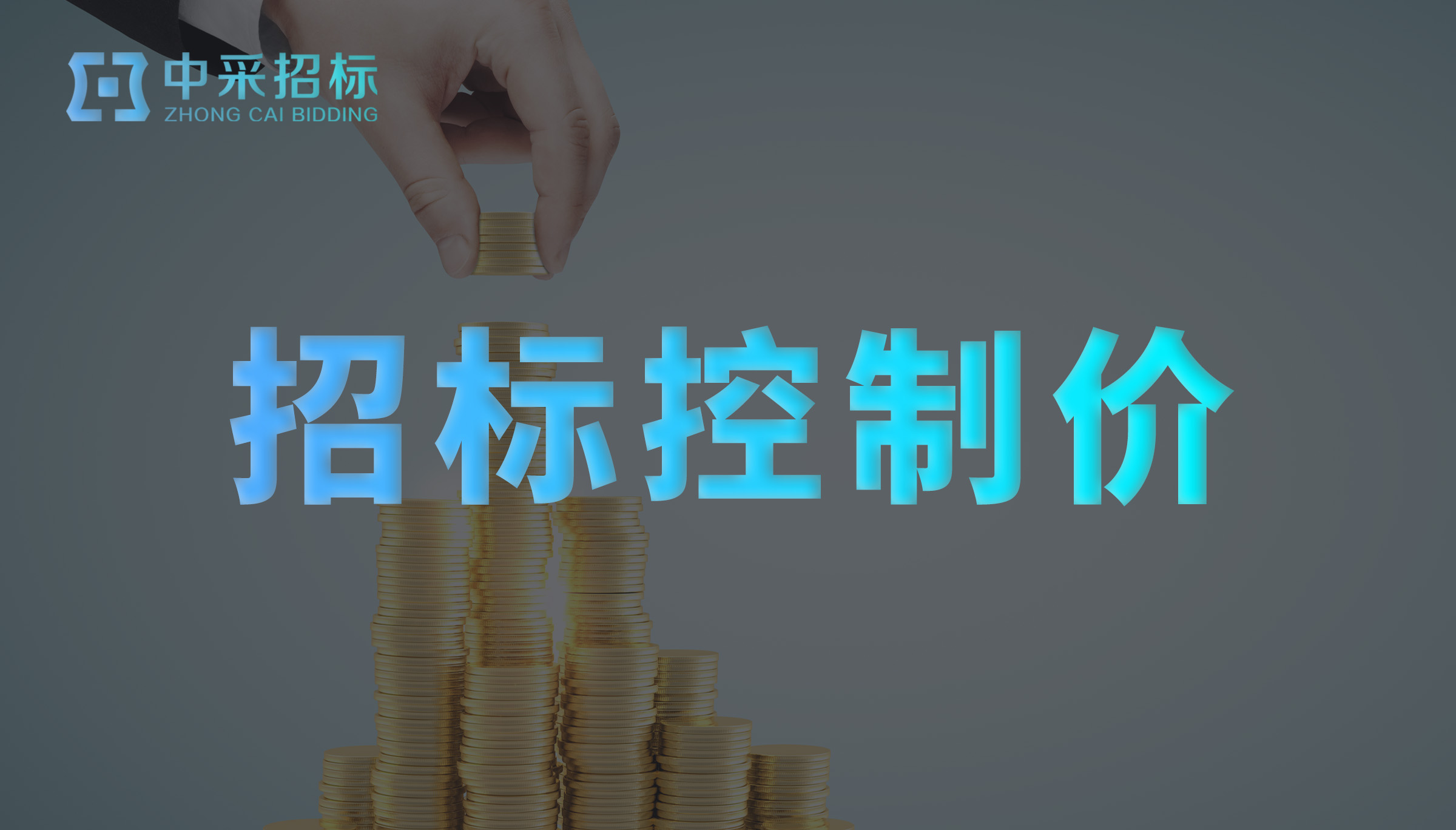 招标控制价