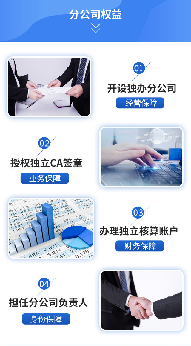 分公司权益.jpg